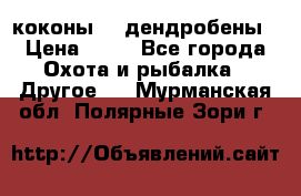 коконы    дендробены › Цена ­ 25 - Все города Охота и рыбалка » Другое   . Мурманская обл.,Полярные Зори г.